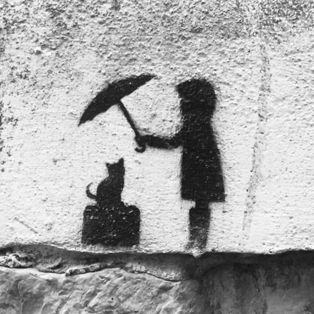 Taucode New Indie Folk